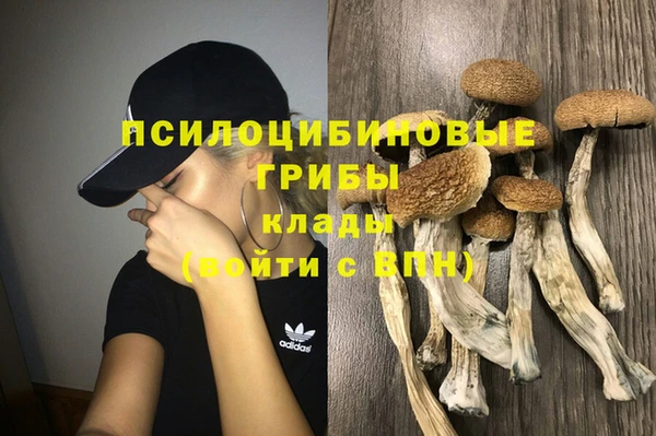 твердый Алзамай