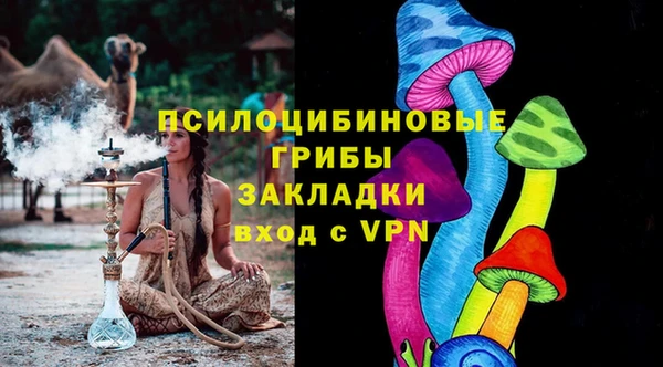 ешки Алексин