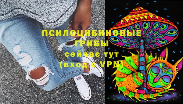 твердый Алзамай