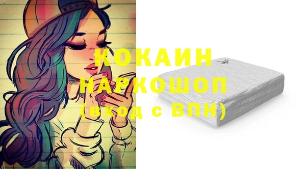 ешки Алексин