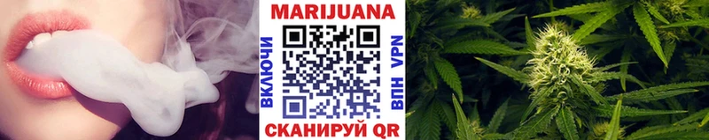 ОМГ ОМГ tor  Канаш  Конопля сатива 